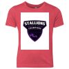 Youth Triblend Tee Thumbnail