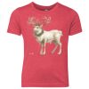 Youth Triblend Tee Thumbnail