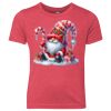 Youth Triblend Tee Thumbnail